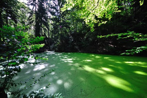 maerchensee